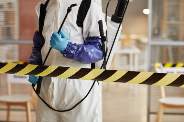 Professional Biohazard Cleanup technician working in Patton, CA